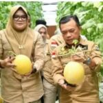 Bupati beserta Wakil Bupati Tanjab Timur Dampingi Gubernur Jambi Dalam Kunker Ke Wilayah Tanjab Timur