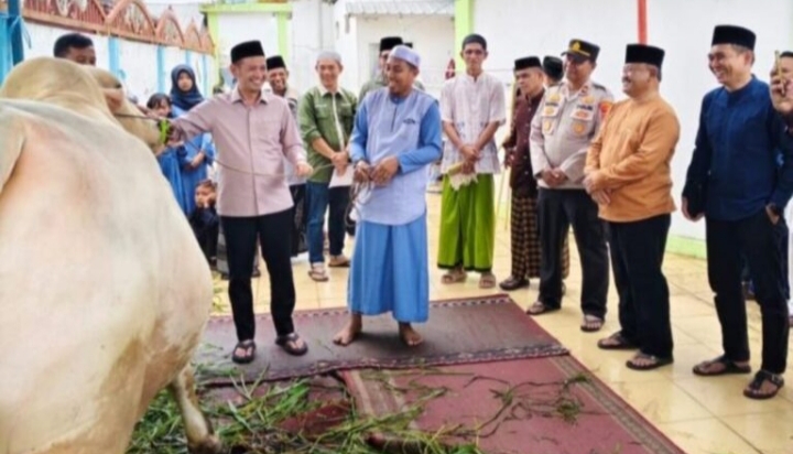 Sapi Seberat 805 Kg dari Presiden Diserahkan Wabup Tanjab Timur di Hari Raya Idul Adha 1446 H